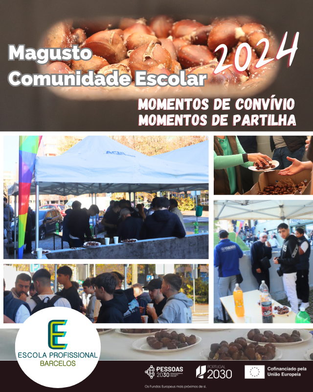 atividade 7 magusto